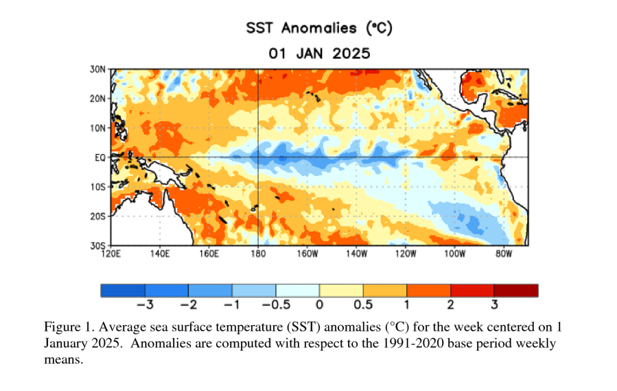 La Niña has officially started: What happens next?